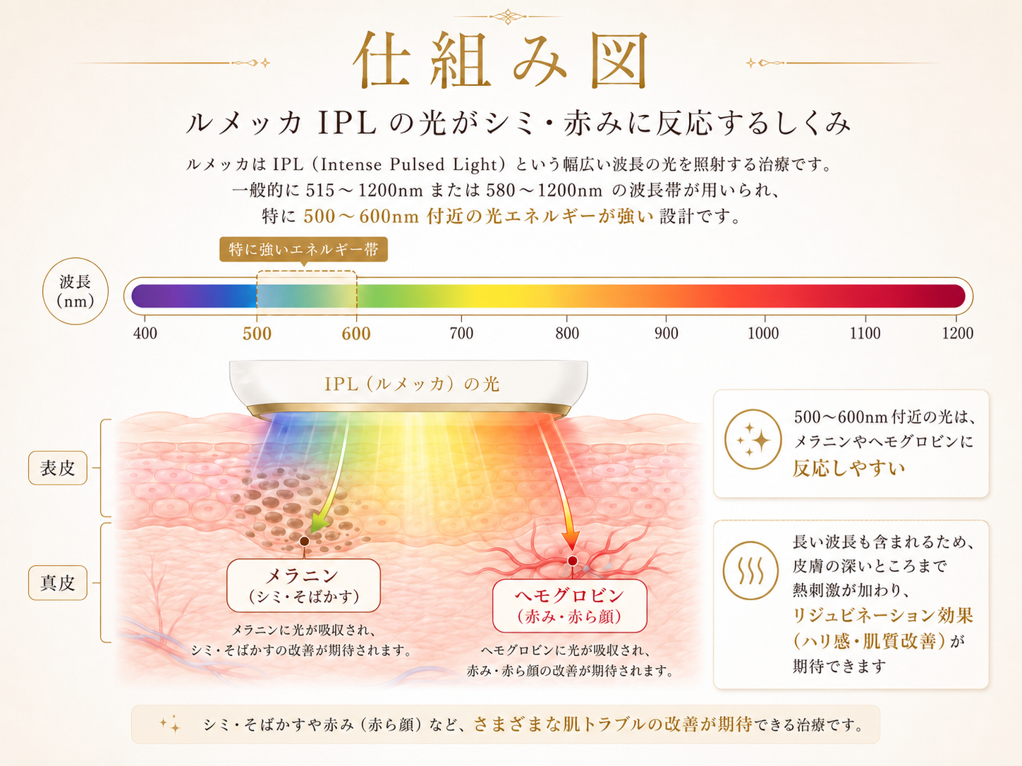 ルメッカIPLの光がシミや赤みに反応する仕組み図