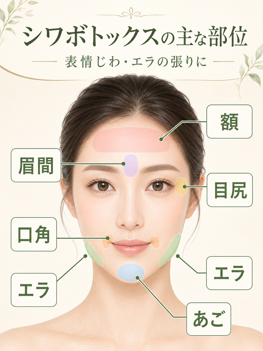 シワボトックスで相談しやすい主な部位。額、眉間、目尻、口角、あご、エラなど、表情じわやエラの張りに関係する部位を示したイラスト